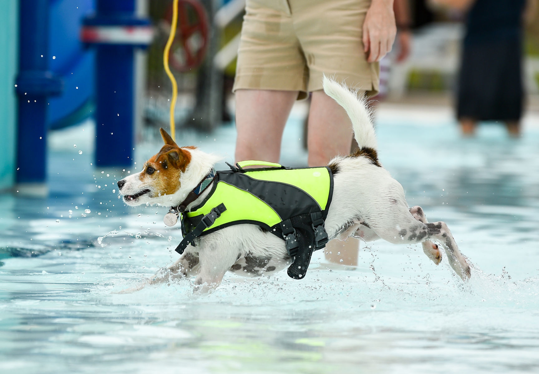 081919-mda-nws-furfriends-017a.JPG